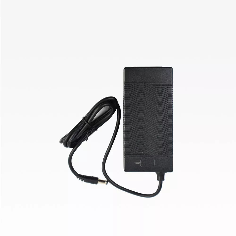 Charger for Electric Luggage